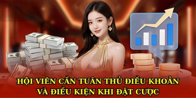 Hội viên cần tuân thủ điều khoản và điều kiện khi đặt cược